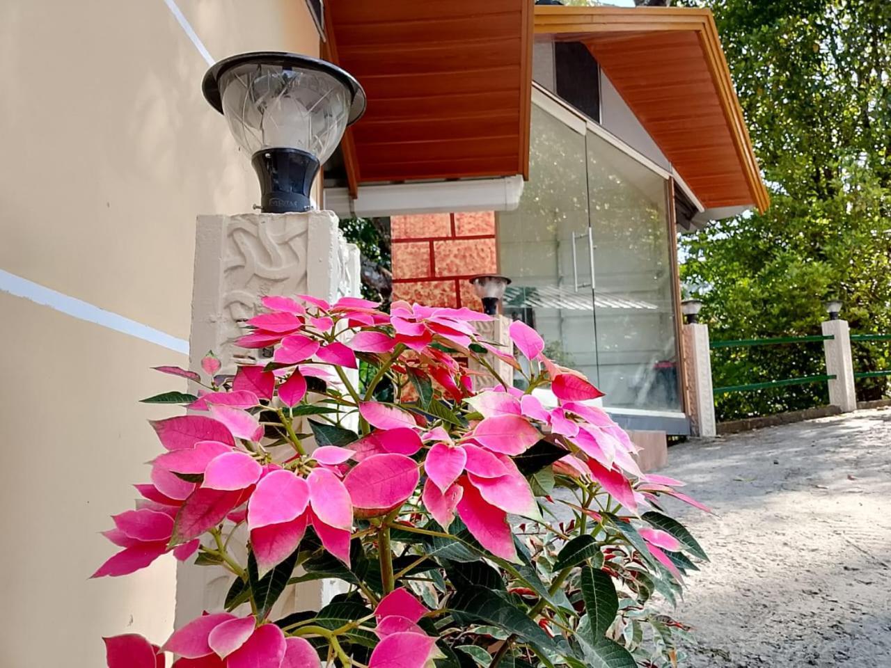 Cloudscape Homestay Pīrmed Εξωτερικό φωτογραφία